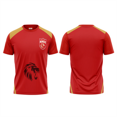 Next Print Ipl Punjab Customisable round neck jersey