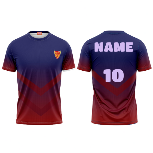 Next Print Customised Kabaddi Dabang Delhi KC Jersey.
