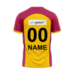 Next Print Customised Pro Kabaddi Telugu Titans 2025 Jersey.