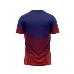 Next Print Customised Kabaddi Dabang Delhi KC Jersey.