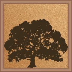 Next Print Laser Engrave Calm Tree Design