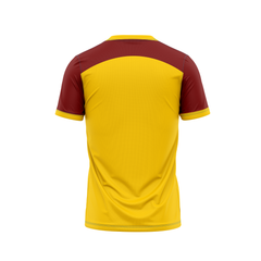 Next Print Customised Kabaddi Telugu Titans Jersey