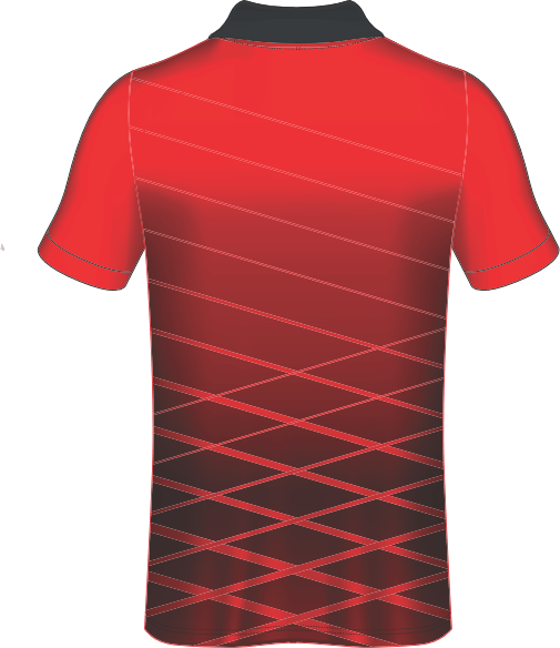 All Over Customized T-shirt polo collar half sleeves sport jersey NP0000S602 - Next Print