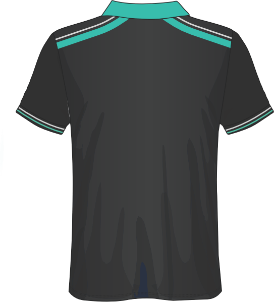 All Over Customized T-shirt polo collar half sleeves sport jersey NP0000S629 - Next Print