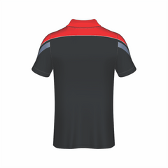 All Over Customized T-shirt polo collar sport jersey NP0000S560 - Next Print