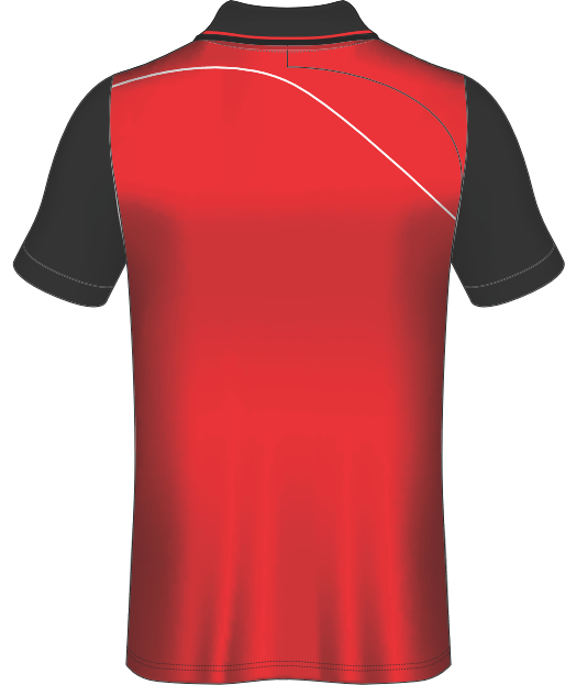 All Over Customized T-shirt polo collar sport jersey NP0000S580 - Next Print