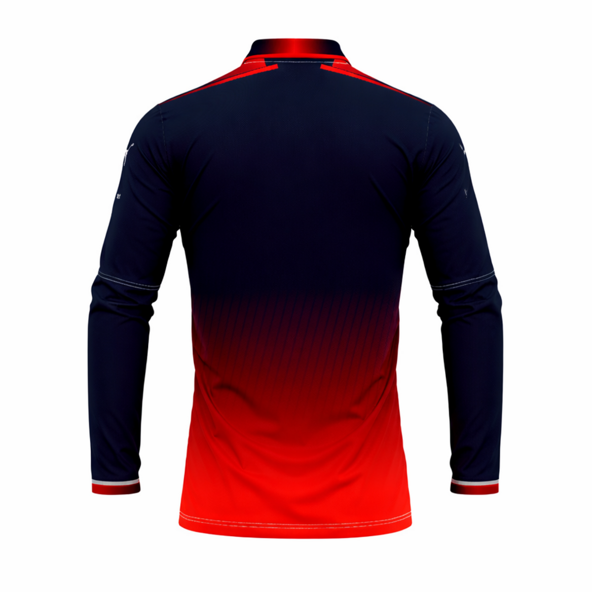 Custom cricket jersey back view with player name and number