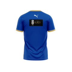 Next Print Customised Pro Kabaddi Haryana Steelers 2025 Jersey.