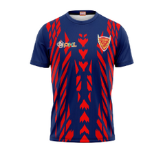 Next Print Customised Pro Kabaddi Dabang Delhi 2025 Jersey.