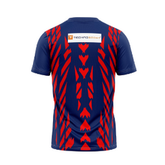 Next Print Customised Pro Kabaddi Dabang Delhi 2025 Jersey.