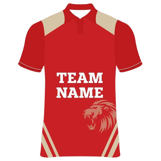 All Over Printed Customized Sublimation T-Shirt Unisex Sports Punjab Kings Cricket  Jersey Player Name & Number, Team Name And Logo.NP060000