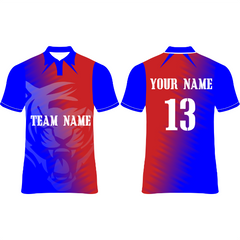 Delhi Custom Cricket Jerseys NP090000