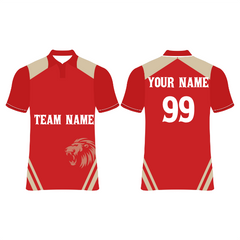 Next Print Punjab Custom Cricket Jerseys NP060000