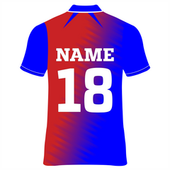 Delhi Custom Cricket Jerseys NP090000