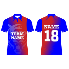 Delhi Custom Cricket Jerseys NP090000