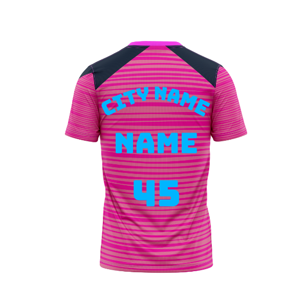 Next Print Ipl Rajasthan Customisable Round Neck Jersey With City Name and Number