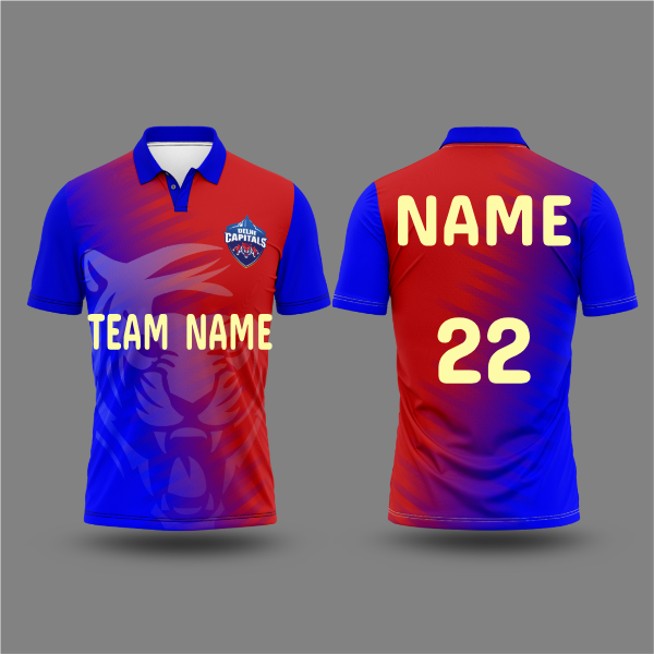 Next Print Ipl Delhi Printed Jersey With Name and Number Printed.