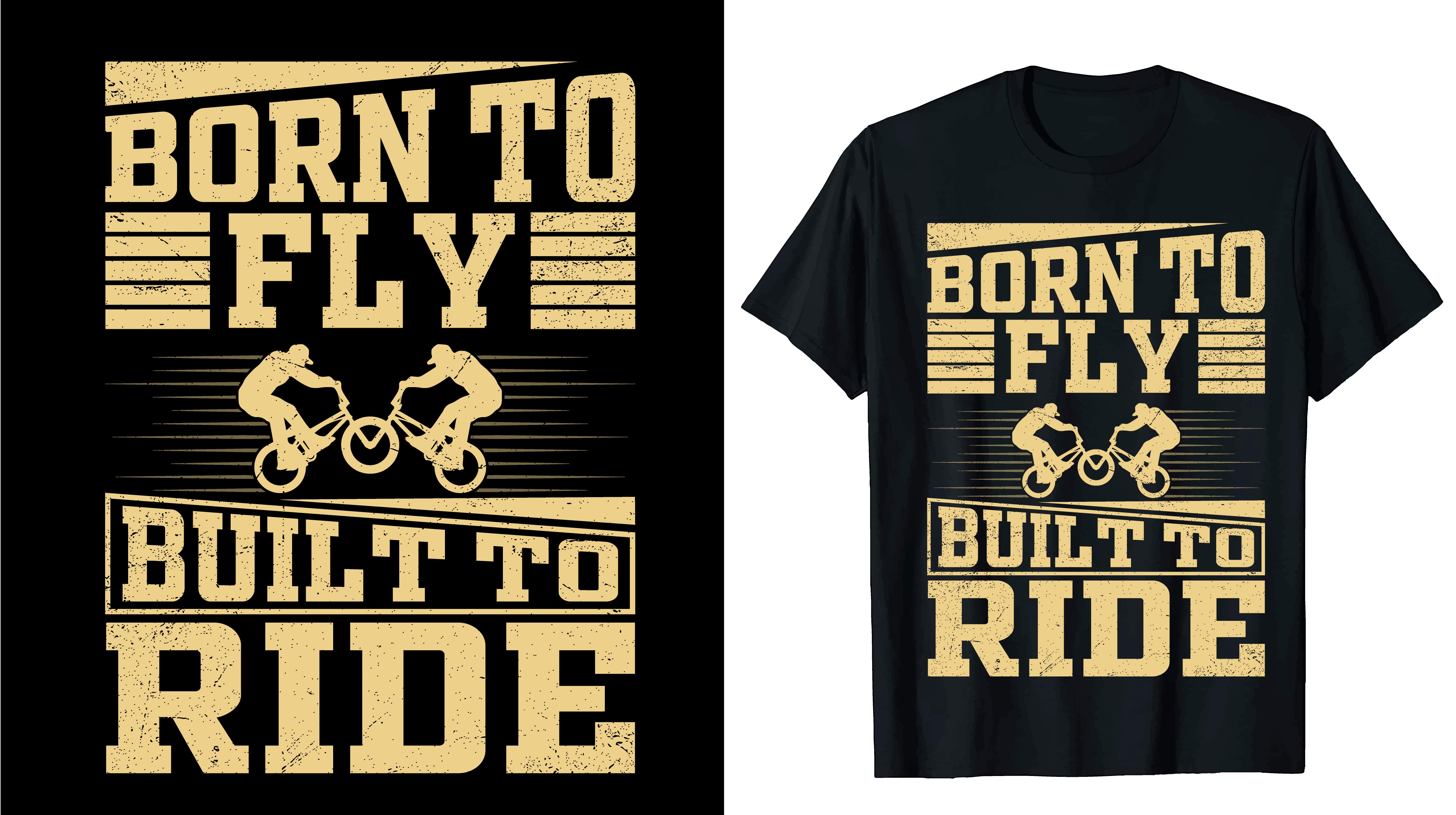 Born To Fly Built To Ride