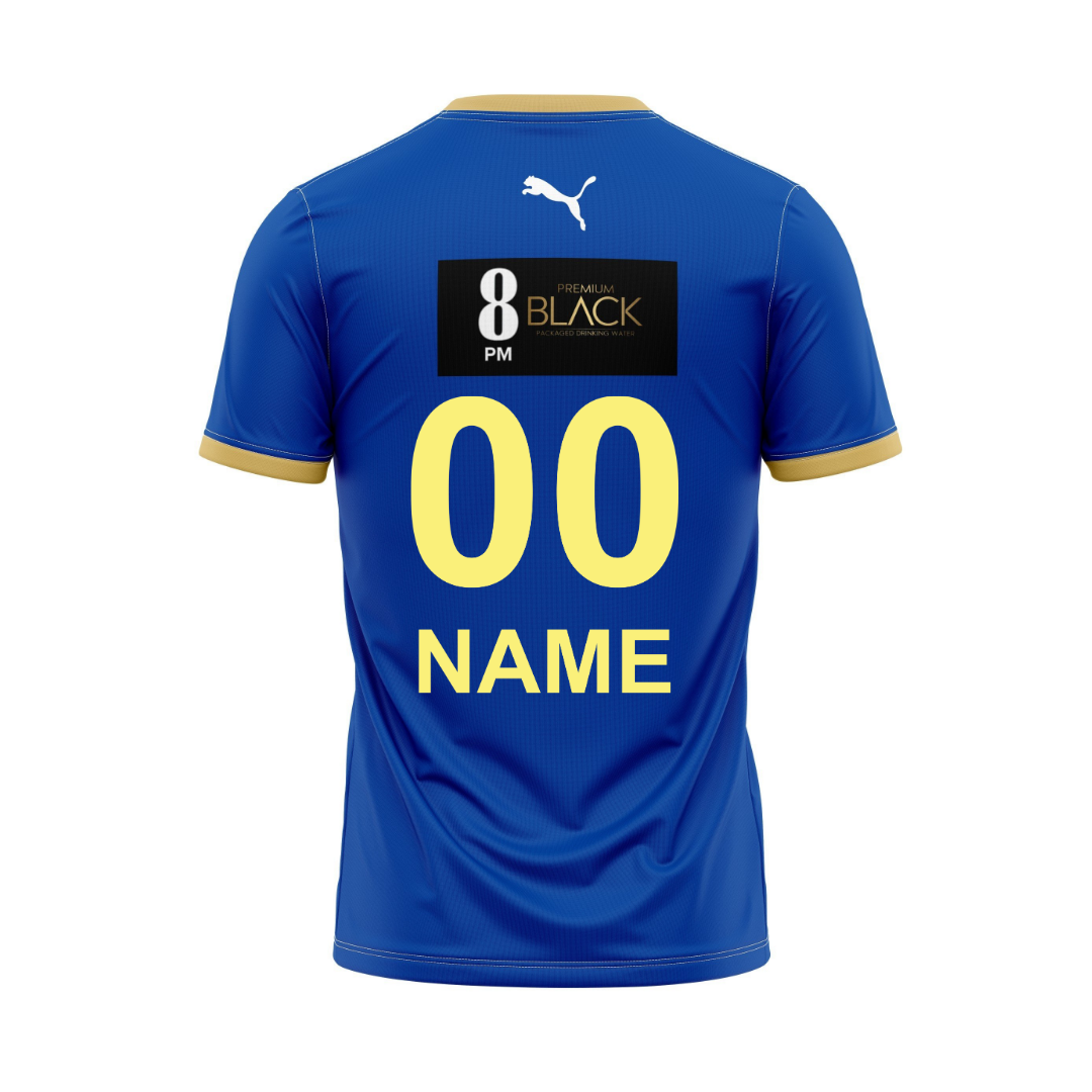 Next Print Customised Pro Kabaddi Haryana Steelers 2025 Jersey.