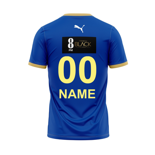Next Print Customised Pro Kabaddi Haryana Steelers 2025 Jersey.