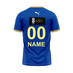 Next Print Customised Pro Kabaddi Haryana Steelers 2025 Jersey.