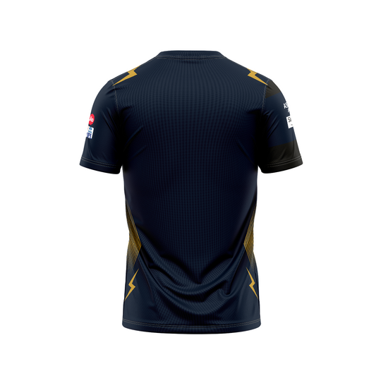 Next Print Customisable  Ipl Gujrat V Neck jersey