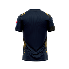 Next Print Customisable  Ipl Gujrat V Neck jersey