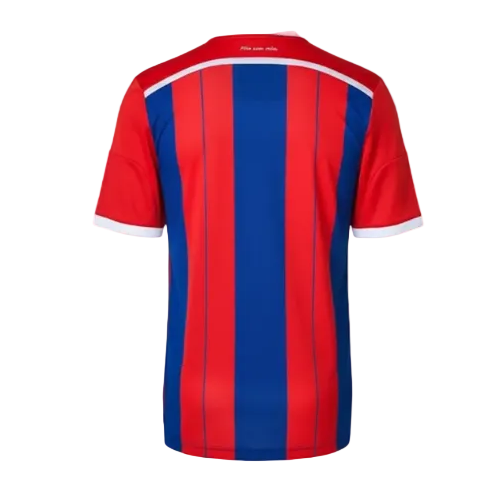 NextPrint Premium Red Blue Striped Home Jersey with Custom Name & Number – Bayern Inspired India
