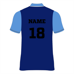 Nextprint customized royalblue cricket jersey NP0080031