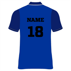 Nextprint customized royalblue cricket jersey NP0080059