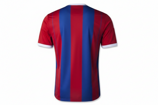 NextPrint Bayern Style Red Blue Stripe Jersey Custom Name Number – Fan Edition India