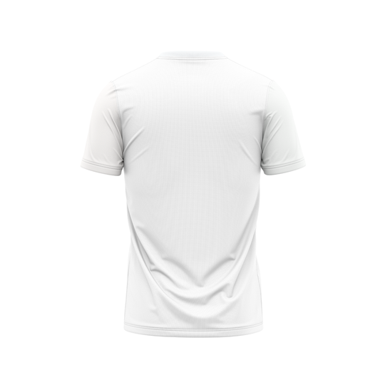 Next Print Republic Day Printed Tshirt Design NP000S9