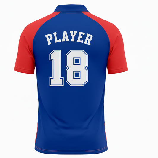 Next Print Customised Wpl Delhi Capitals Jersey With Your Name and Number Print.