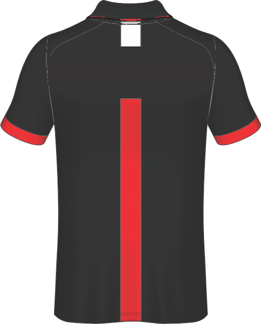 All Over Customized T-shirt polo collar sport jersey NP0000S582 - Next Print