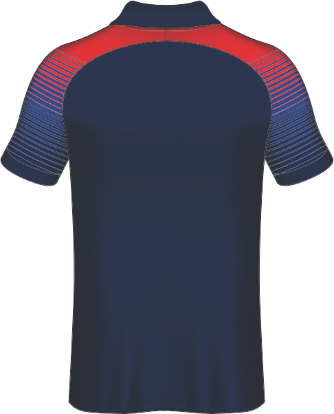 All Over Customized T-shirt polo collar sport jersey NP0000S583 - Next Print