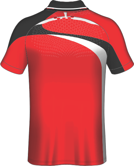 All Over Customized T-shirt polo collar sport jersey NP0000S617 - Next Print