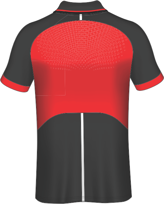 All Over CustomizedT-shirt polo collar sport jersey NP0000S598 - Next Print