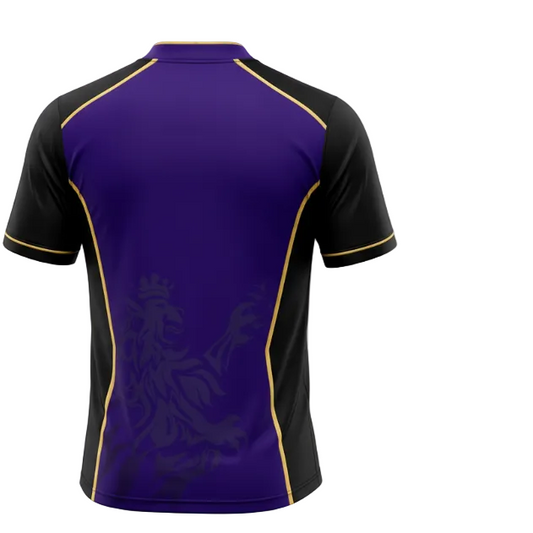 Next Print Custom cricket jersey design with team logo name and number sublimation print India NextPrint