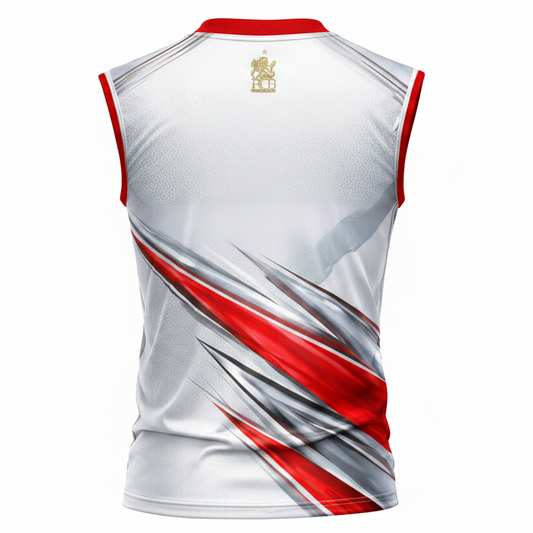 Next Print Custom Cricket Jersey with Name & Number | Personalized Team Jersey India | Sublimation Sports T-Shirt Online