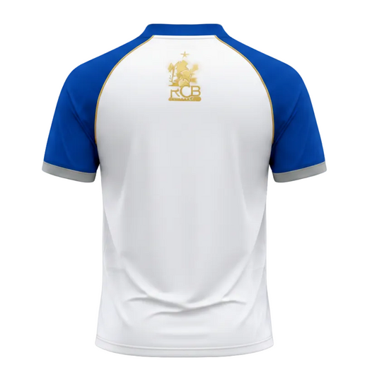 Next Print Custom Cricket Jersey – Personalized Team Uniform with Name & Number | Sublimation Print India | NextPrint