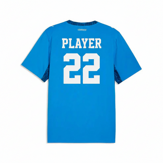 Custom Czechia style football jersey with personalized name and number