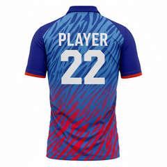 Next Print Customised Delhi  Style Custom Cricket Jersey 2026 – Personalized Name & Number | Premium Polyester Sports T-Shirt | NextPrint India
