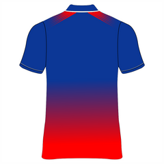IPL RCB 2026 custom blue red cricket jersey with V neck design