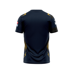 Next Print Customisable Ipl Gujrat V Neck jersey - Next Print