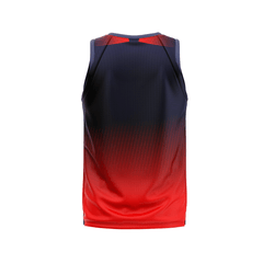 Royal Challengers Bangalore sleeveless jersey with custom name and number