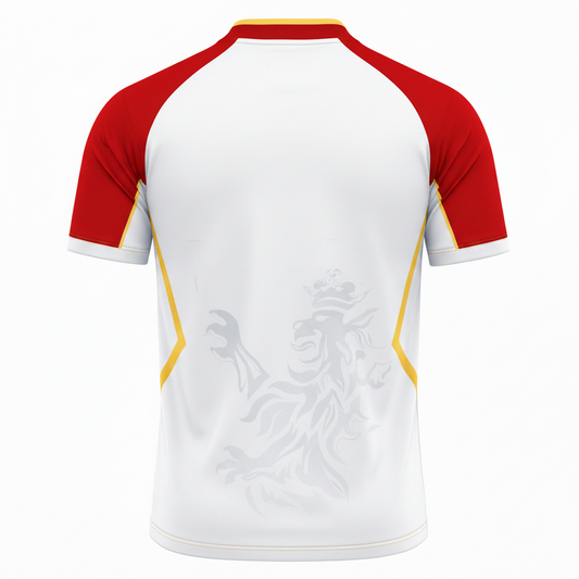 Next Print Custom Sublimation Jersey with Name & Number | Premium Sports T-Shirt for Cricket, Football & Teams | NextPrint India
