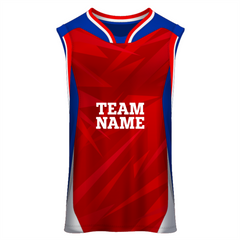 NEXT PRINT All Over Printed Customized Sublimation T-Shirt Unisex Sports Jersey Player Name & Number, Team Name.1151113184