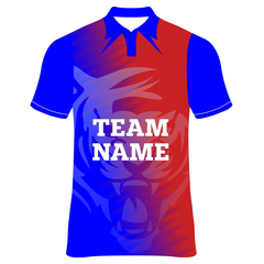 Delhi Capitals Cricket  Jersey Player Name & Number, Team Name And Logo. NP090000