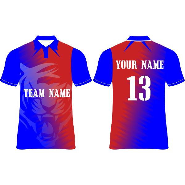 Delhi Capitals Cricket  Jersey Player Name & Number, Team Name And Logo. NP090000