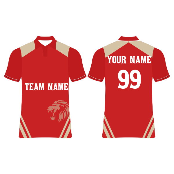 Punjab Kings Cricket  Jersey Player Name & Number, Team Name And Logo.NP060000